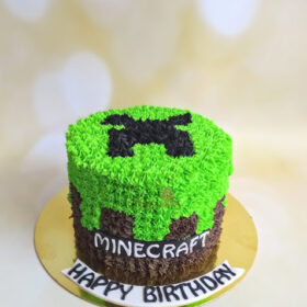 SD MINECRAFT 4